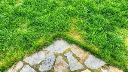 intersection view of grass and stone ground in the garden