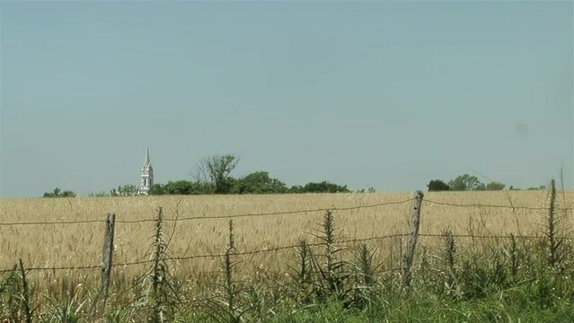 A Wheat Field and the Dome of a Church in the Distance in the Province of Entre Rios, Argentina.  