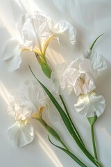 White Iris flowers. Generative AI