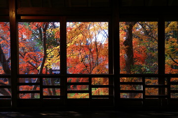 岩手県　紅葉の風景