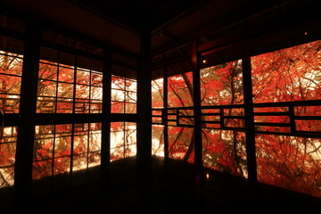 岩手県　紅葉の風景