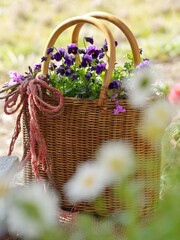 basket of flowers