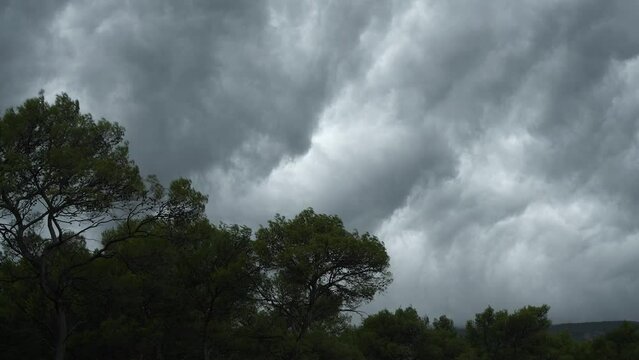 Swirling dark storm clouds gather powerfully above the forest treetops, bent by strong wind. View of dynamic and intense weather scene, showcasing intense power and mesmerizing beauty of wild nature.