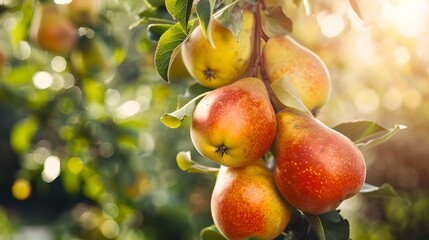 Sun-kissed Apples Hanging on a Tree, Ripe and Ready for Harvest. Fresh Organic Fruit in a Natural Setting Illuminated by Warm Light. Perfect for Food and Agriculture Themes. AI
