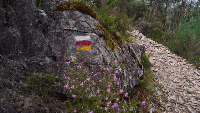 Hiking trail mark painted on a rock. Portugal nature background. For banner, design, cover, magazine, thumbnail