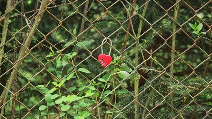 Heart Shape Combination Lock Hung on Mesh Wire Fence as Symbol of Love on Valentines Day