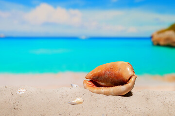 Copy space. Summer on rich tropical resort. Beautiful sea coast beach. Azure water on the ocean, sea coast resort. Summer holidays. Beautiful shells on sand. Blue sky.
