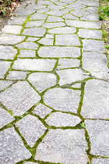 Stone block walk path in the park