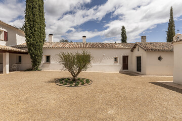 An Andalusian style patio in a farmhouse home with white facades and an olive tree in the middle of...