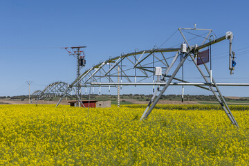 Linear irrigation systems deliver a controlled amount of water directly to crops