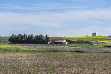 Fototapeta premium Farmers can adjust the speed of the linear system based on factors such as soil type, crop needs and weather conditions to ensure effective water distribution