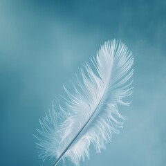 Delicate feather against a serene sky