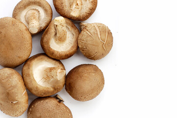 Fresh shiitake mushrooms on white background.