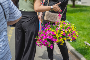 Unrecognizable young woman with hanging basket of flowers for garden, home balcony. Gardening,...