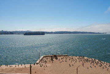 Scenic view from Alcatraz Island overlooking San Francisco Bay. Sandy area with birds, sparkling...