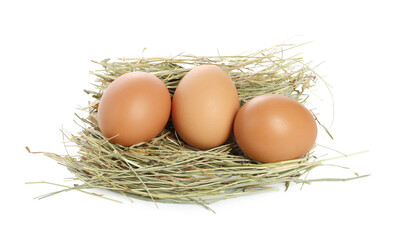 Chicken eggs in nest isolated on white
