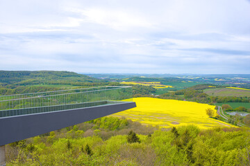 Beautiful view across large fields of yellow blooming rape, from a Skywalk in Sonnenstein,...