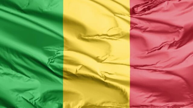 waving flag of mali
