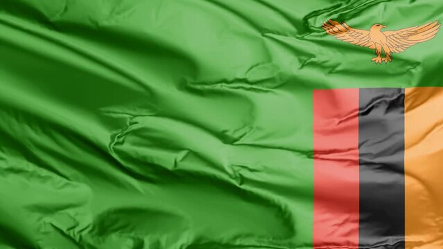 waving flag of zambia
