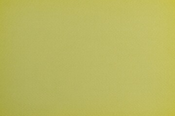 Avocado green paper texture background, copy space
