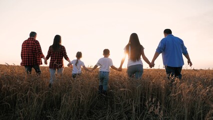 Family friends going at sunset wheat field holding hands together back view. Group of people...