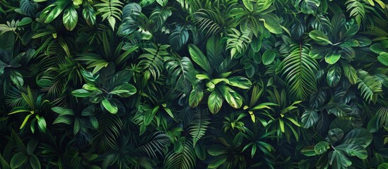 tropical plants wall in green tropical plants foliage