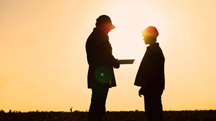 Silhouette man and woman farmer agronomist talking at sunset sunrise corn field. Agricultural work...