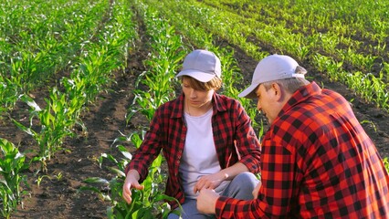 Two agronomist work as team control corn seedling cultivation analyzing use tablet. Man and woman...