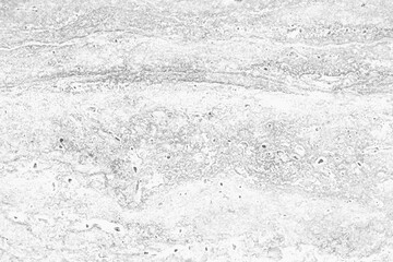 Obraz premium Gray stone texture background design
