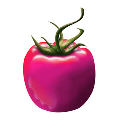 Tomato fruit
