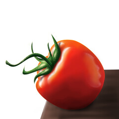 Illustration of tomatoes