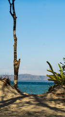 Fototapeta premium Coastal Solitude