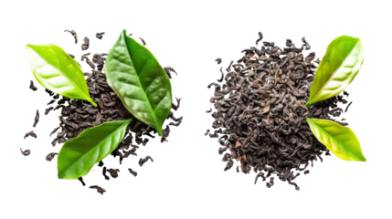 Fresh green tea leaf and dry