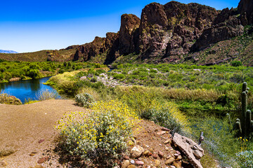 Obraz premium Arizona's Salt River in the Spring