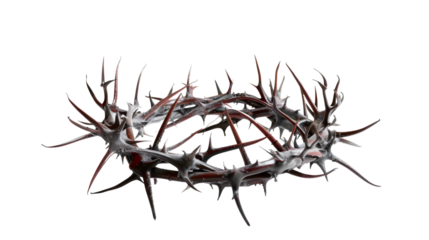 Crown of Thorns