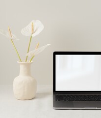 Blank laptop computer screen, modern home interior decor