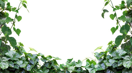 Fototapeta premium Jungle bush