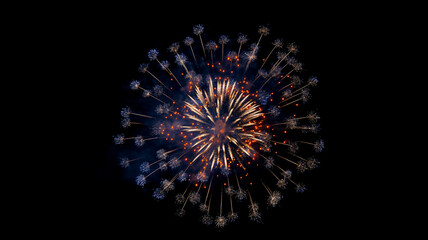 Stunning fireworks display illuminating the night sky with dazzling golden and orange sparks.