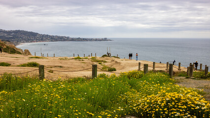 The sunset at the Terry pine beach