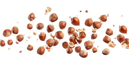 Falling hazelnuts