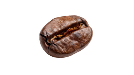Coffee bean