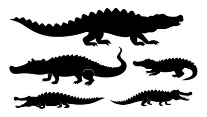 Silhouette of crocodile illustration
