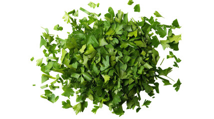 Obraz premium Dry parsley leaves
