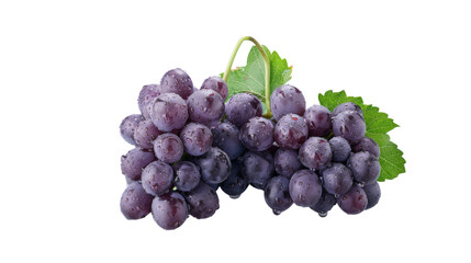 Fototapeta premium Bunch of grapes