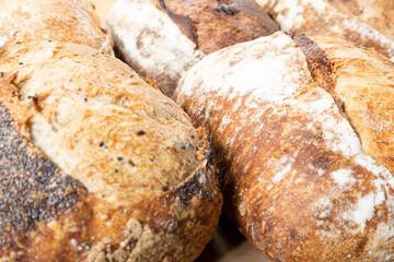 Sourdough: where science meets deliciousness. Dive into our collection and let your taste buds thank you