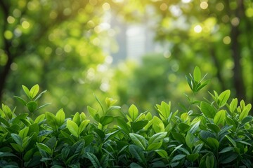 Obraz premium Green energy flourishing in sustainable development, businesses powered by renewable resources, Earth Day awareness, panoramic view, vibrant afternoon light, AI Generative