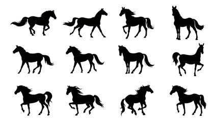 Fototapeta premium Silhouette of horse illustration