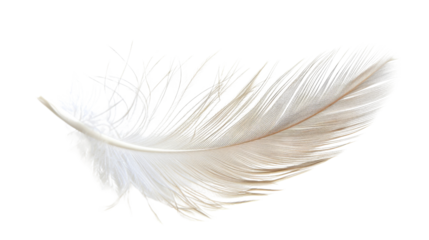 white feather