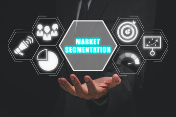 Market segmentation concept, Businessman hand holding market segmentation icon on virtual screen.