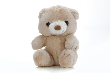 Brown Teddy Bear on white